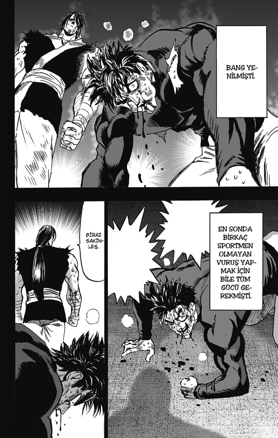 Read Tek Yumruk TR Manga Online