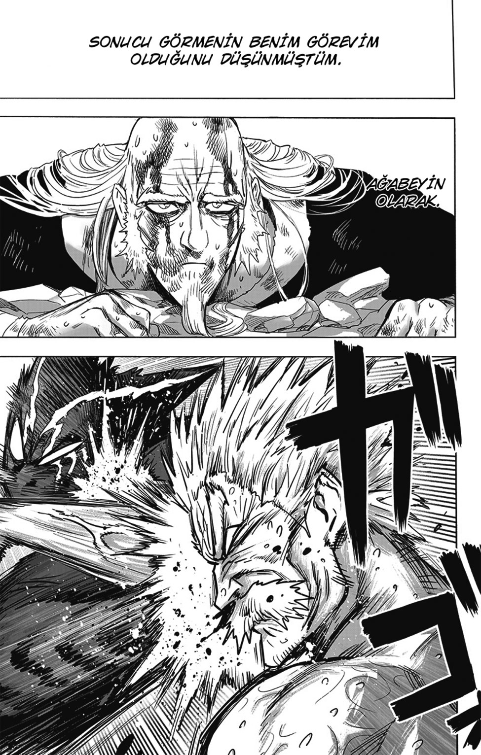 Read Tek Yumruk TR Manga Online