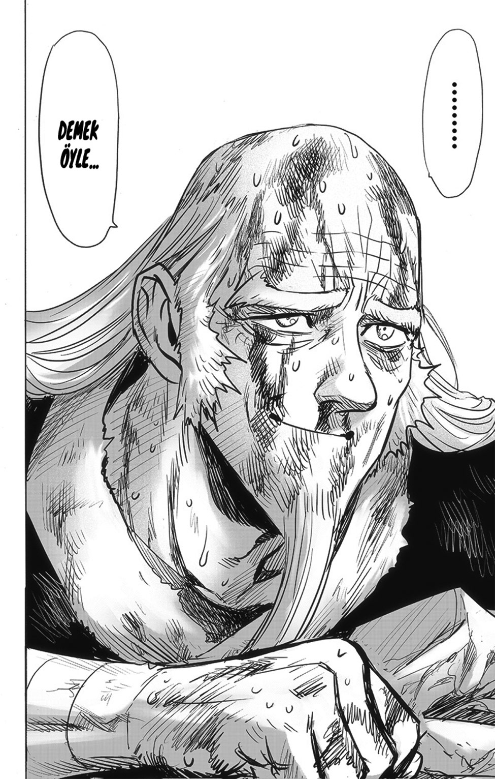 Read Tek Yumruk TR Manga Online