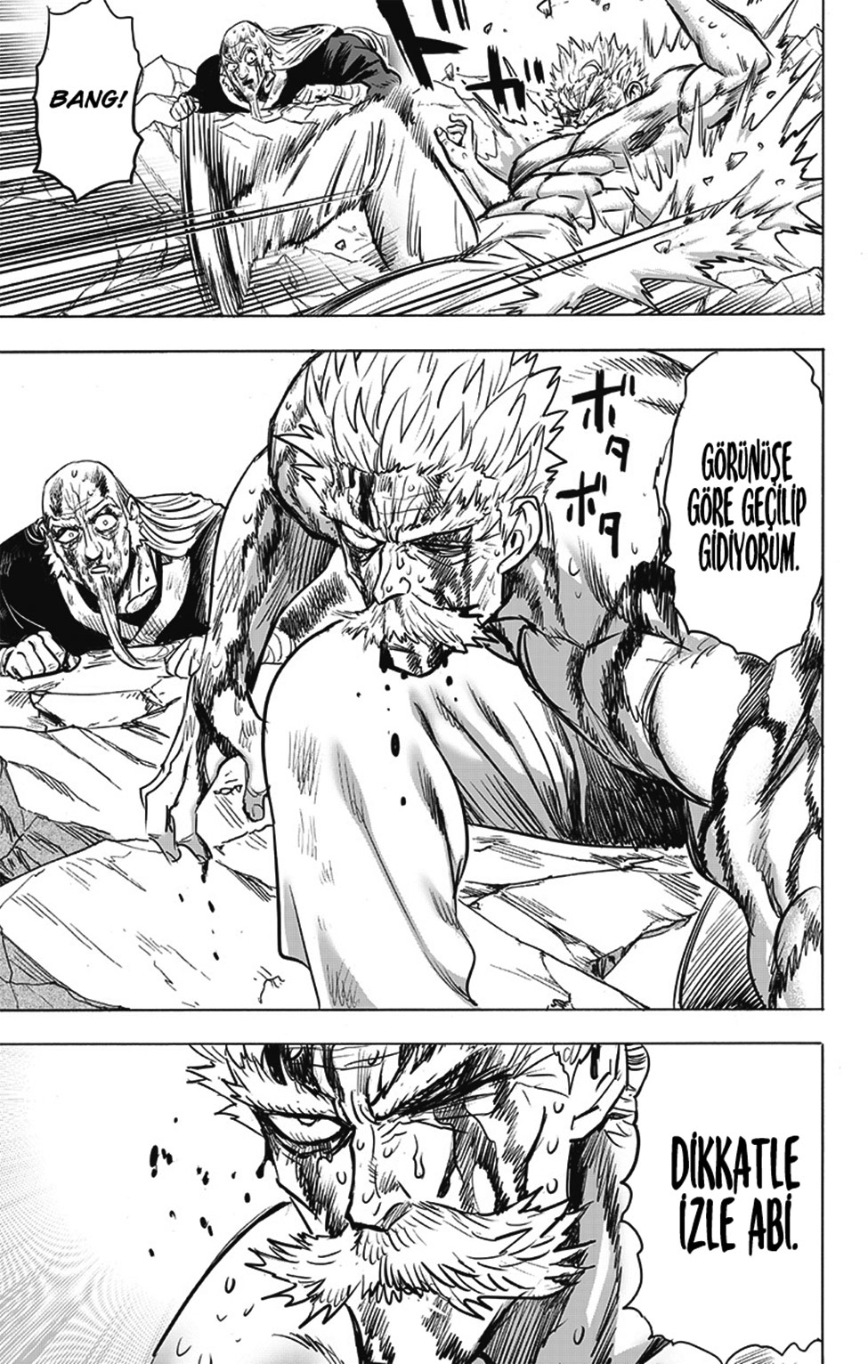 Read Tek Yumruk TR Manga Online