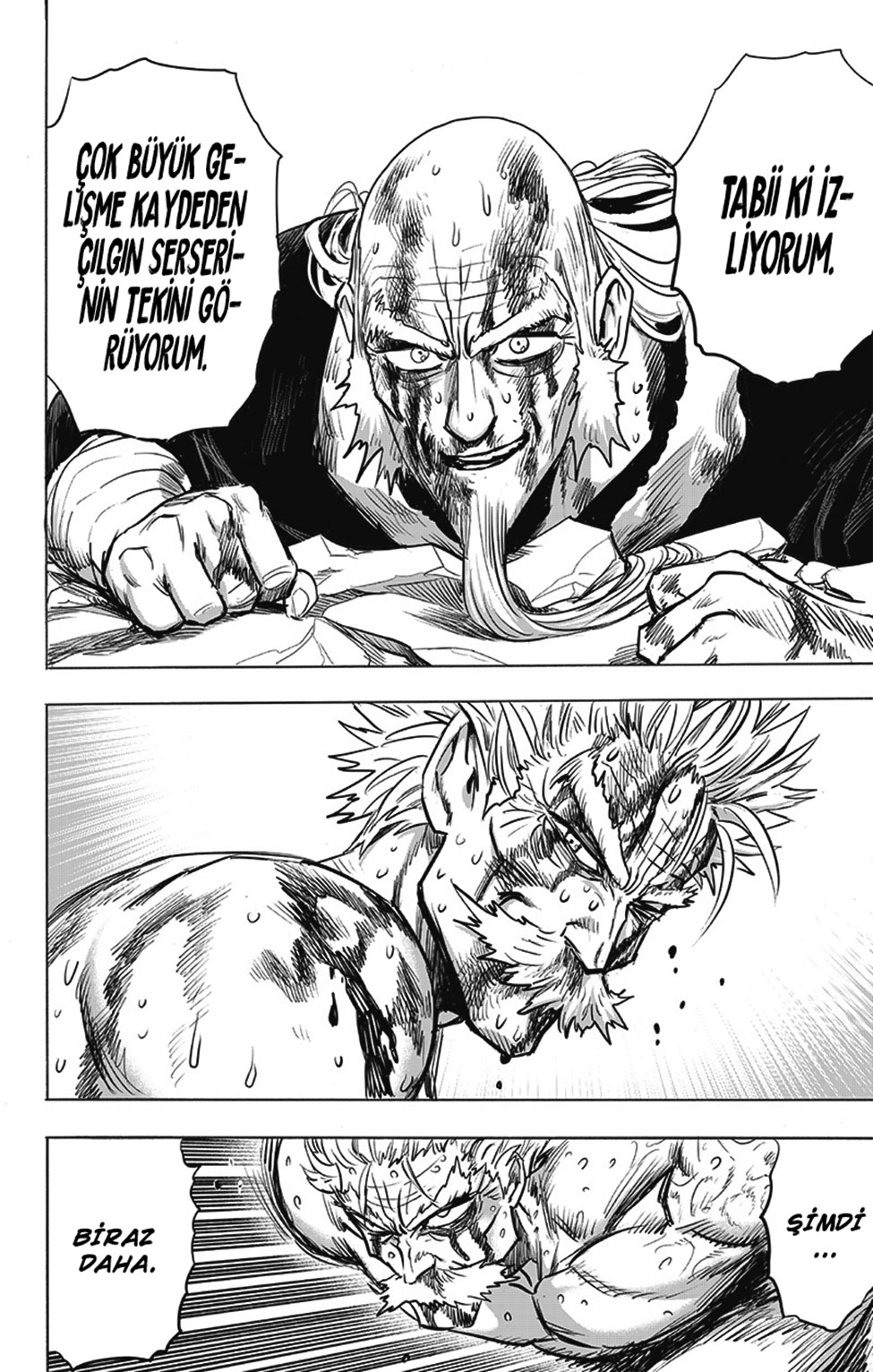 Read Tek Yumruk TR Manga Online