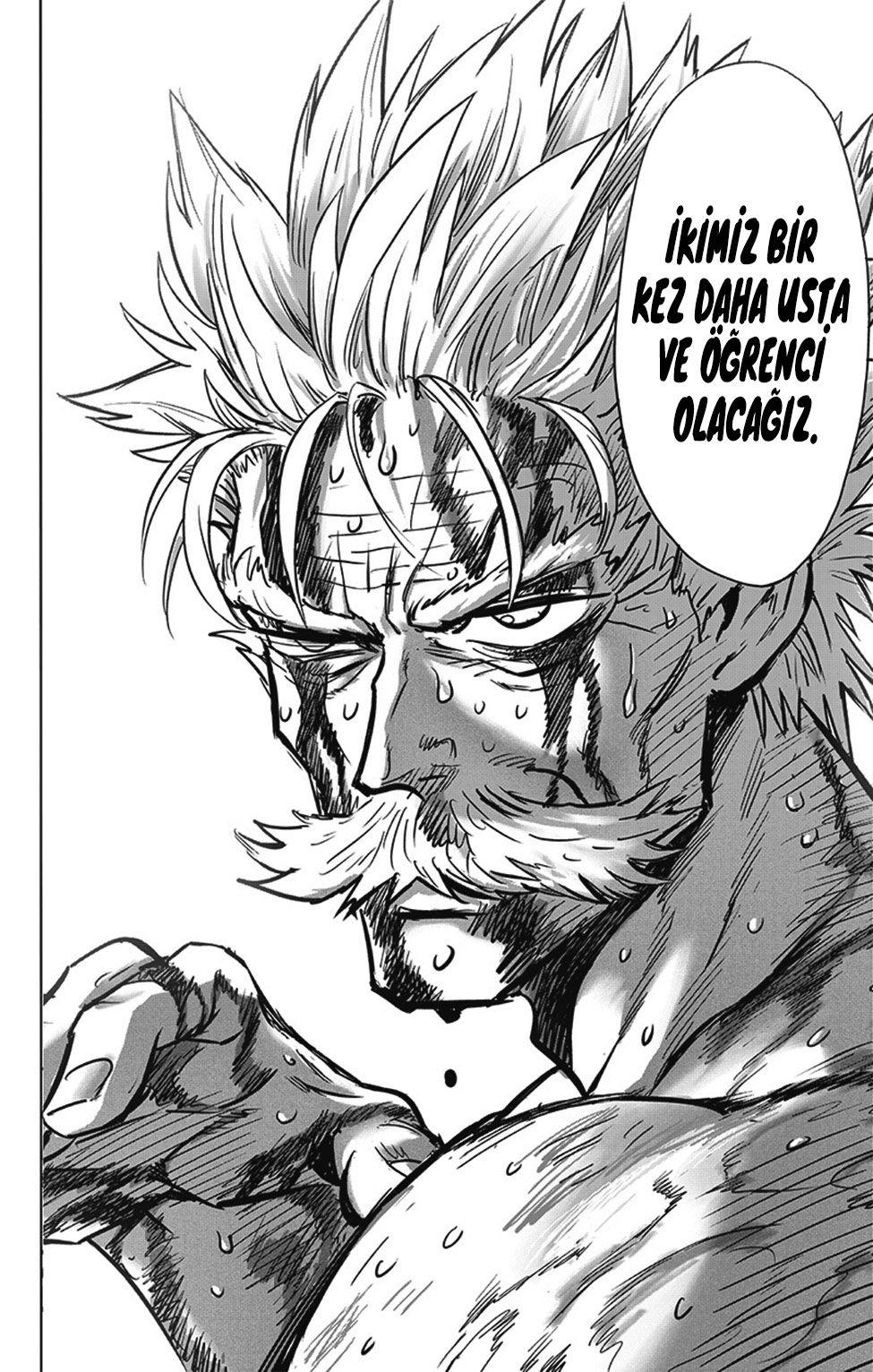 Read Tek Yumruk TR Manga Online