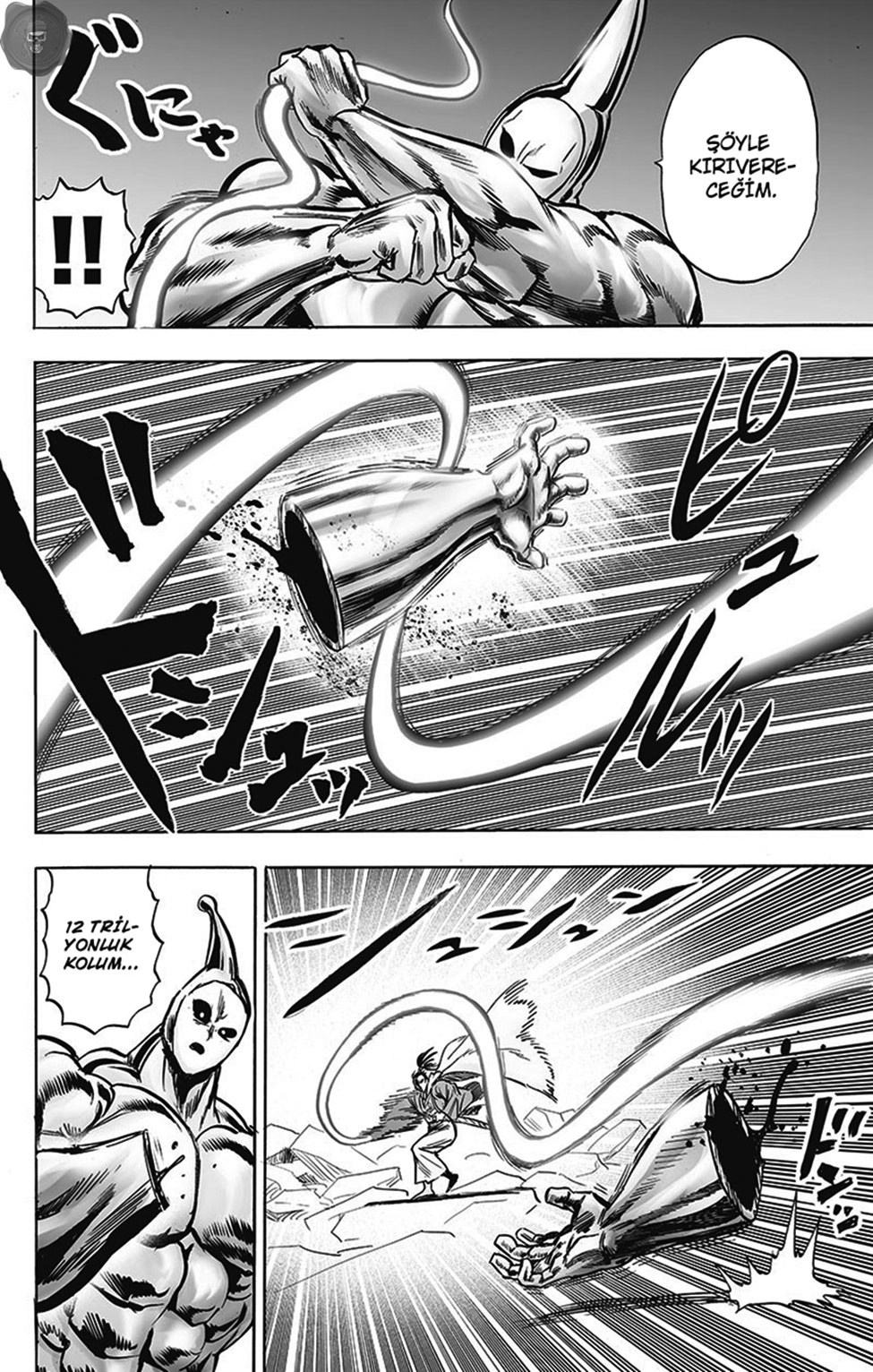 Read Tek Yumruk TR Manga Online