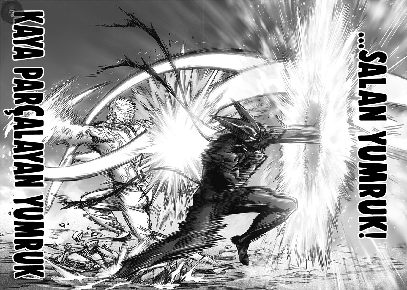 Read Tek Yumruk TR Manga Online