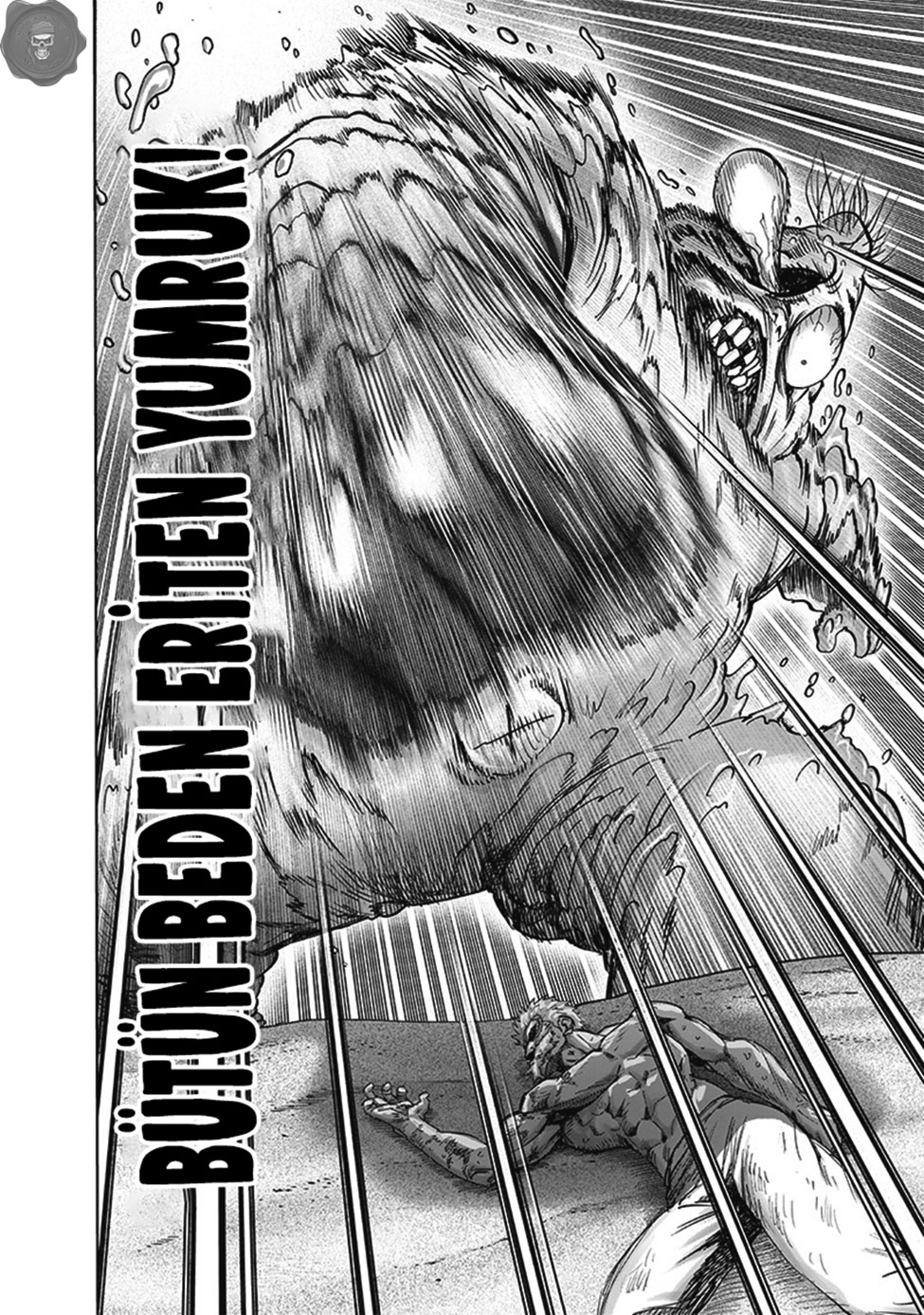 Read Tek Yumruk TR Manga Online