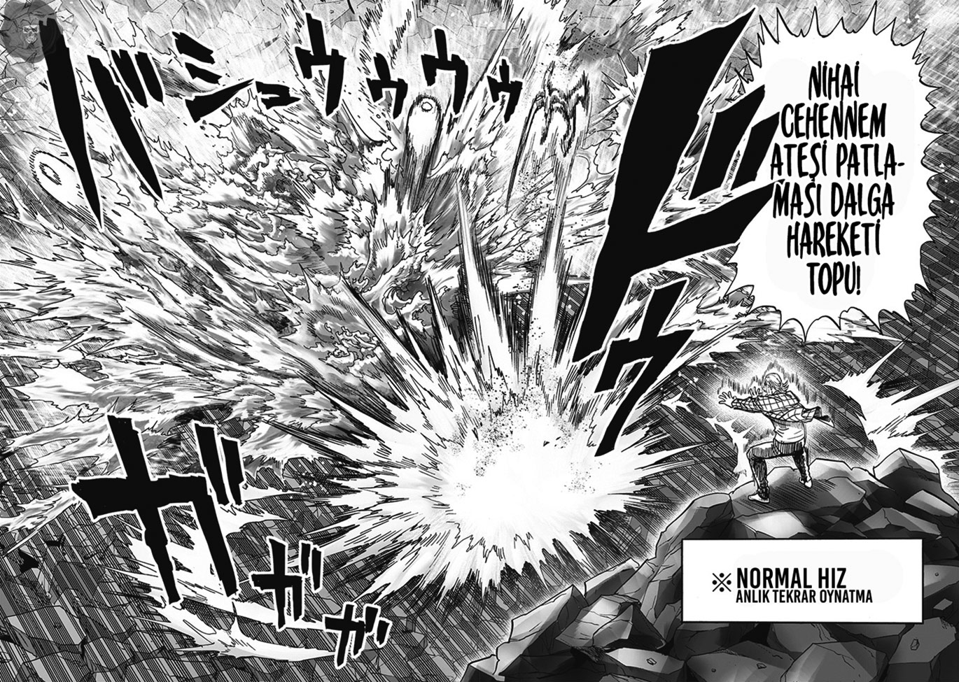 Read Tek Yumruk TR Manga Online