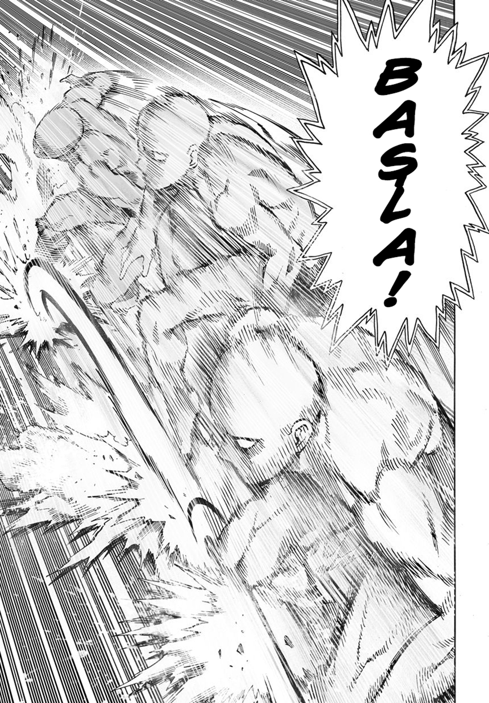 Read Tek Yumruk TR Manga Online