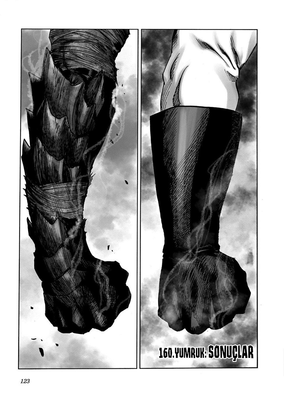 Read Tek Yumruk TR Manga Online