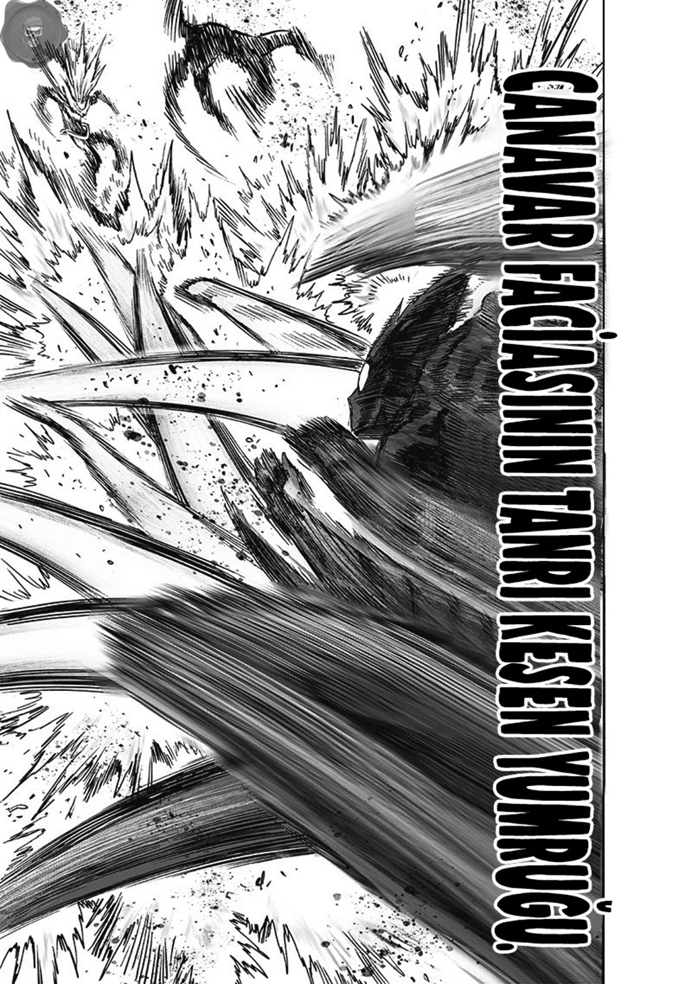 Read Tek Yumruk TR Manga Online