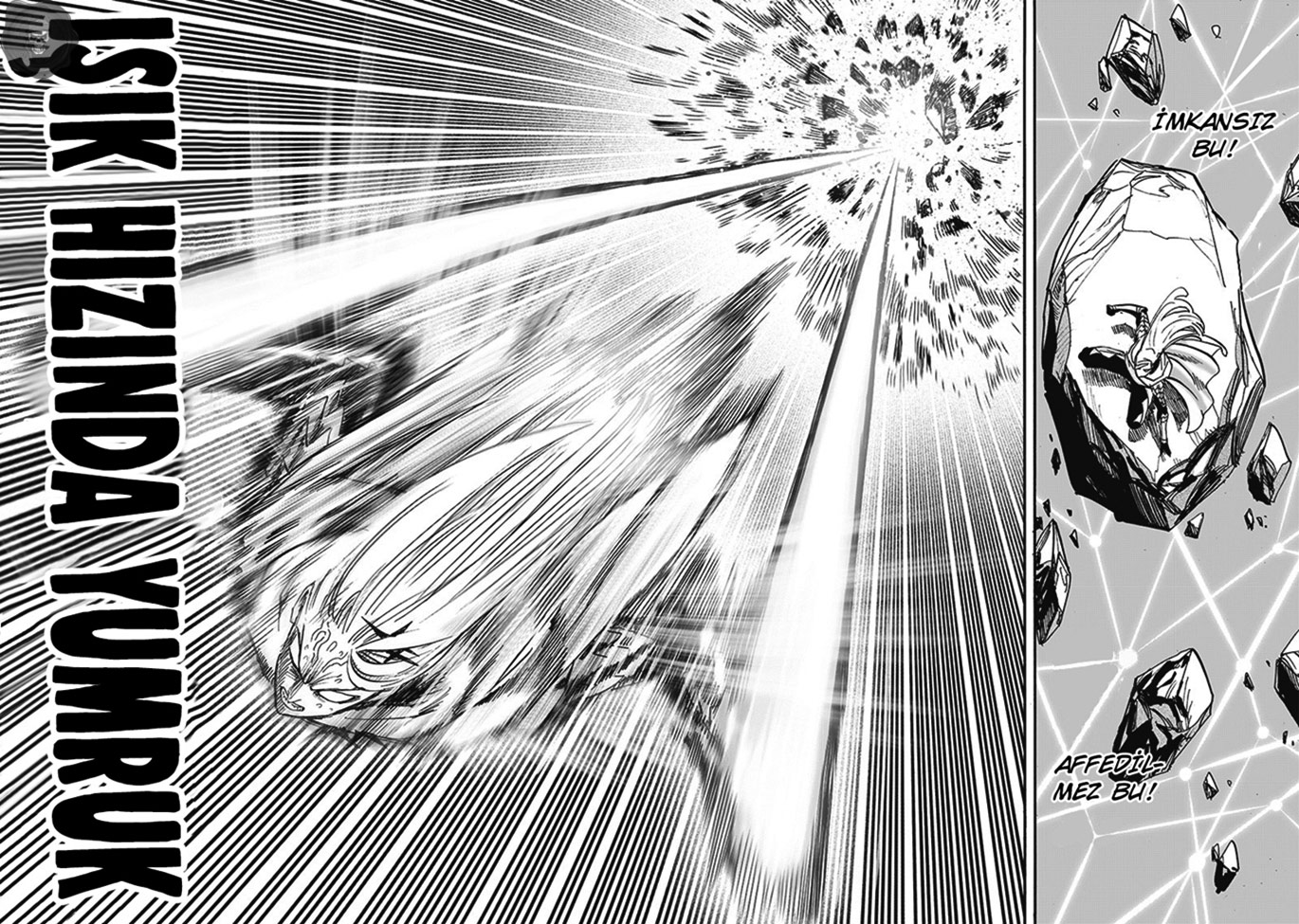 Read Tek Yumruk TR Manga Online