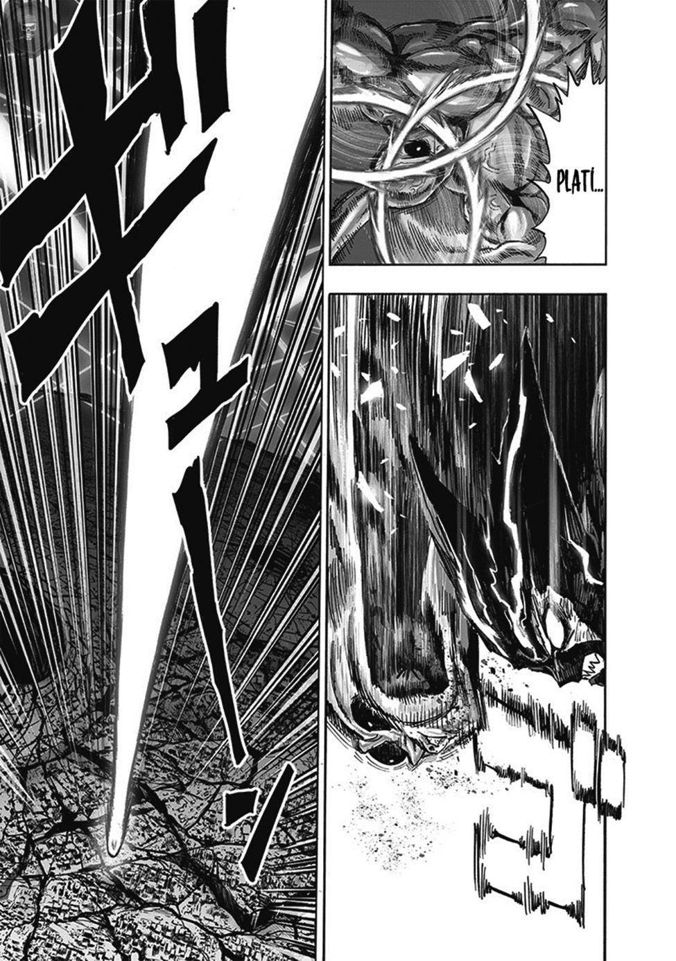 Read Tek Yumruk TR Manga Online