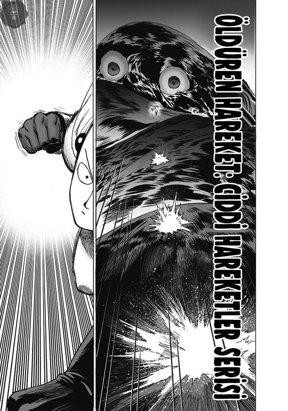 Read Tek Yumruk TR Manga Online
