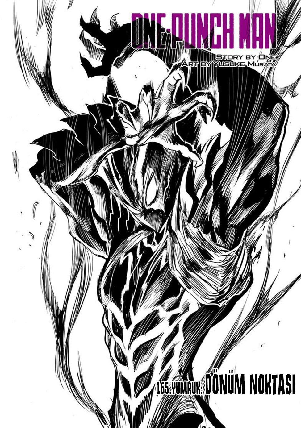 Read Tek Yumruk TR Manga Online