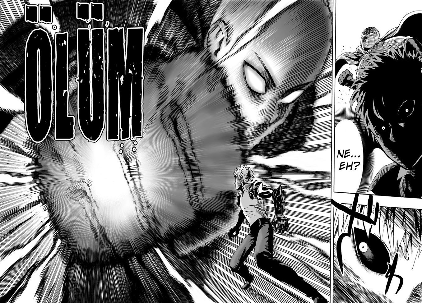Read Tek Yumruk TR Manga Online