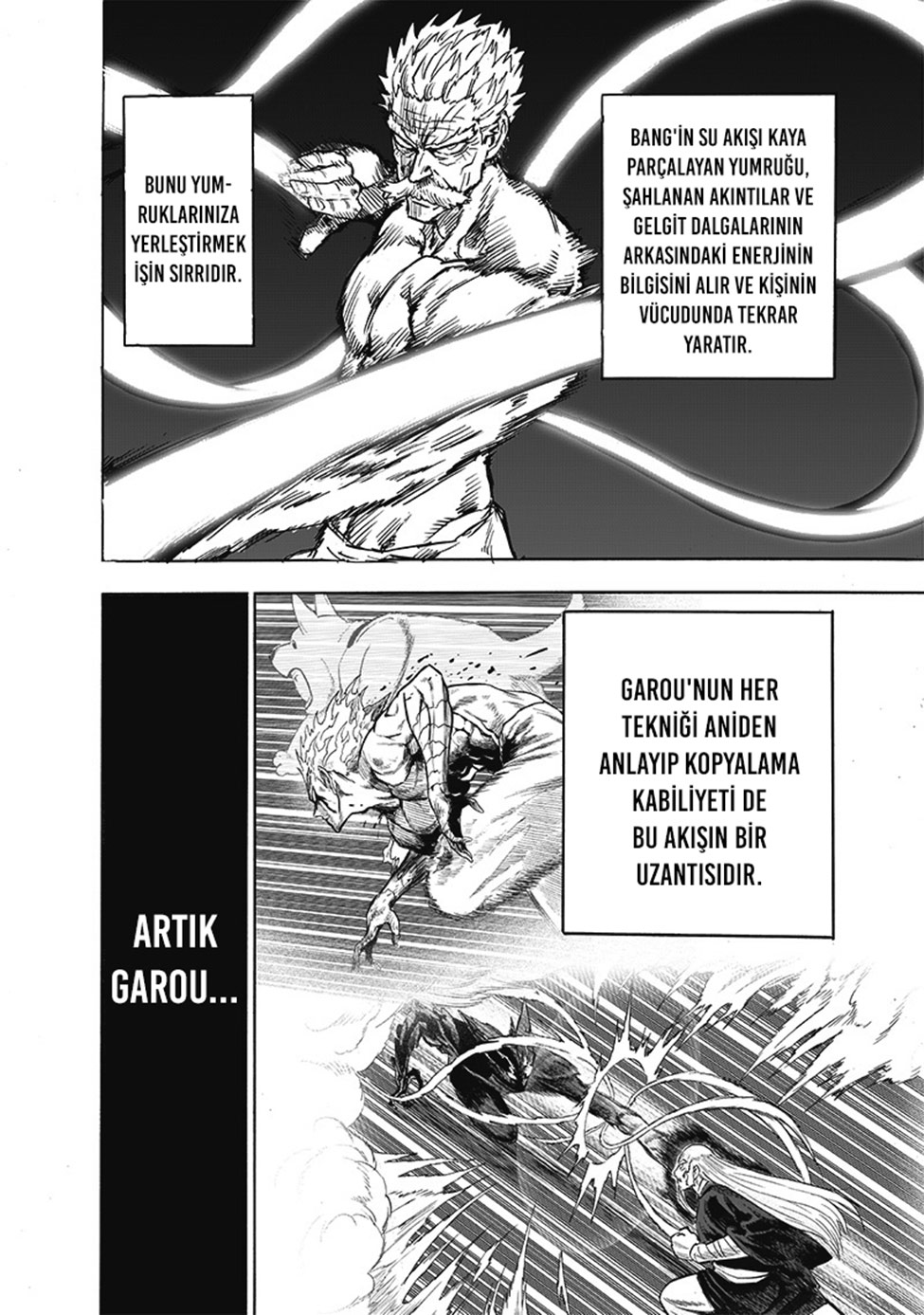 Read Tek Yumruk TR Manga Online