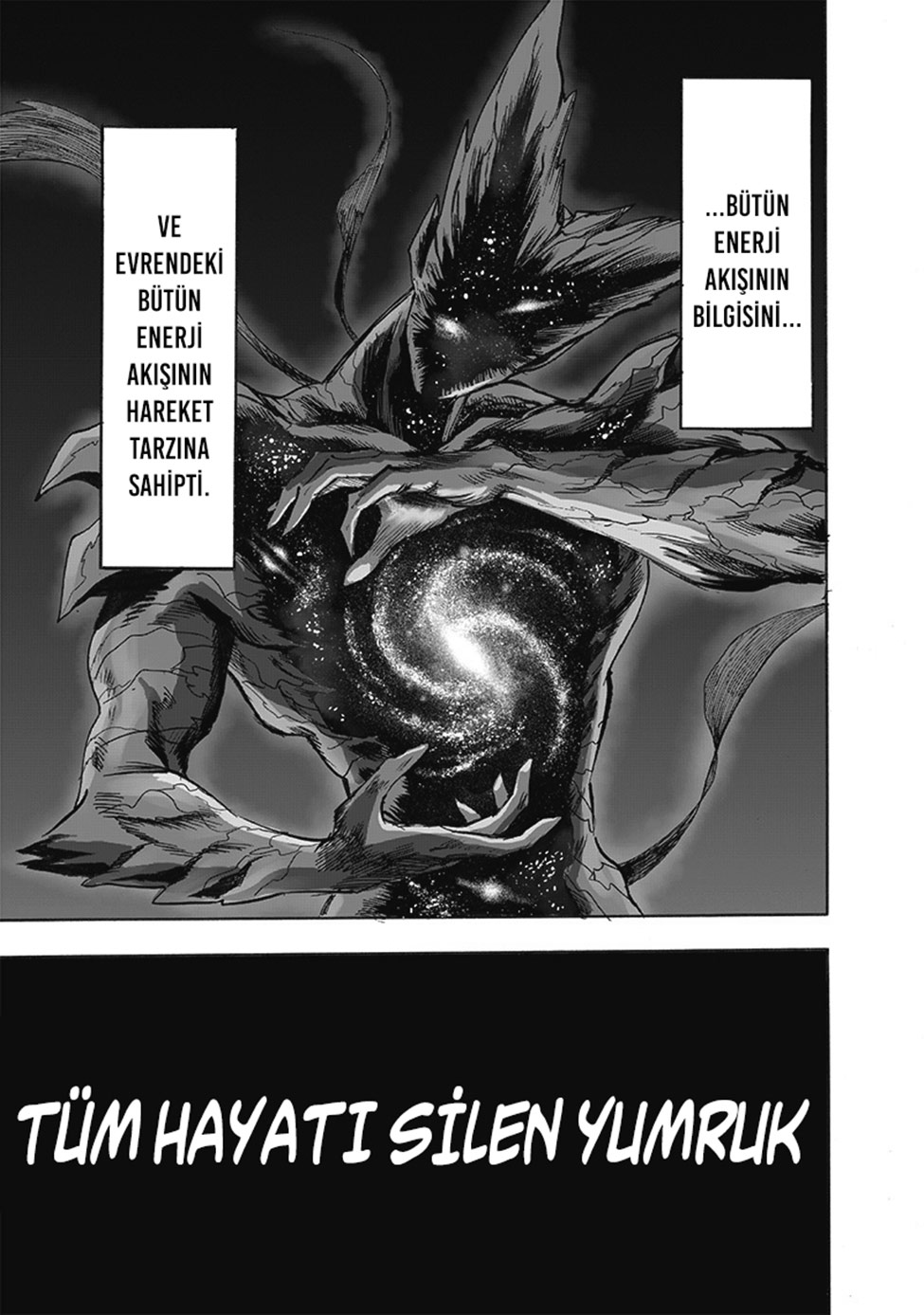 Read Tek Yumruk TR Manga Online
