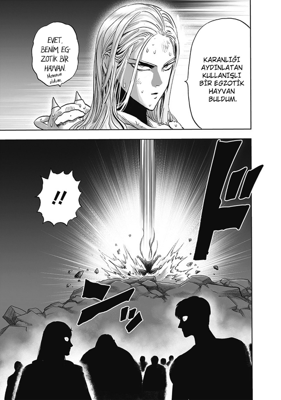Read Tek Yumruk TR Manga Online