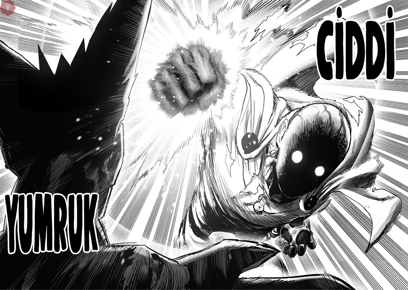 Read Tek Yumruk TR Manga Online