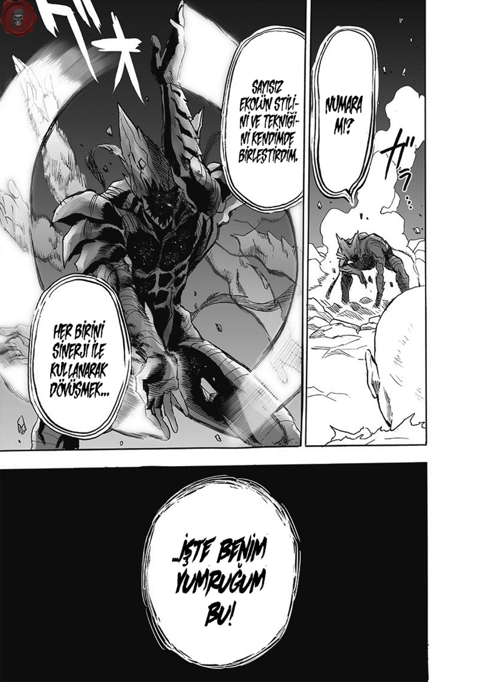 Read Tek Yumruk TR Manga Online