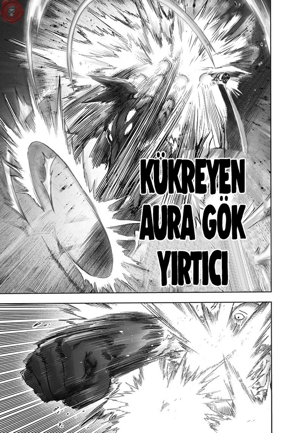 Read Tek Yumruk TR Manga Online