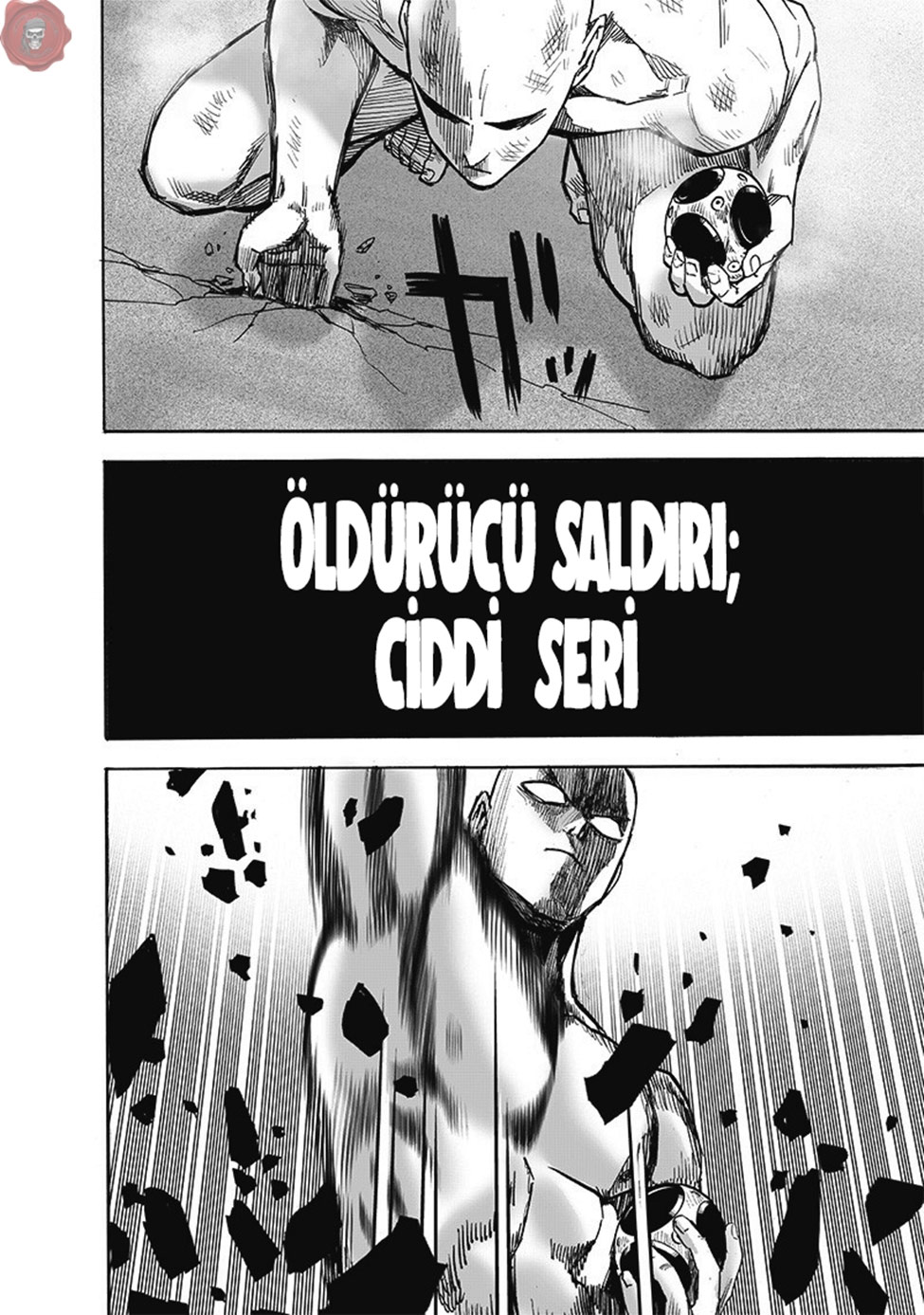 Read Tek Yumruk TR Manga Online