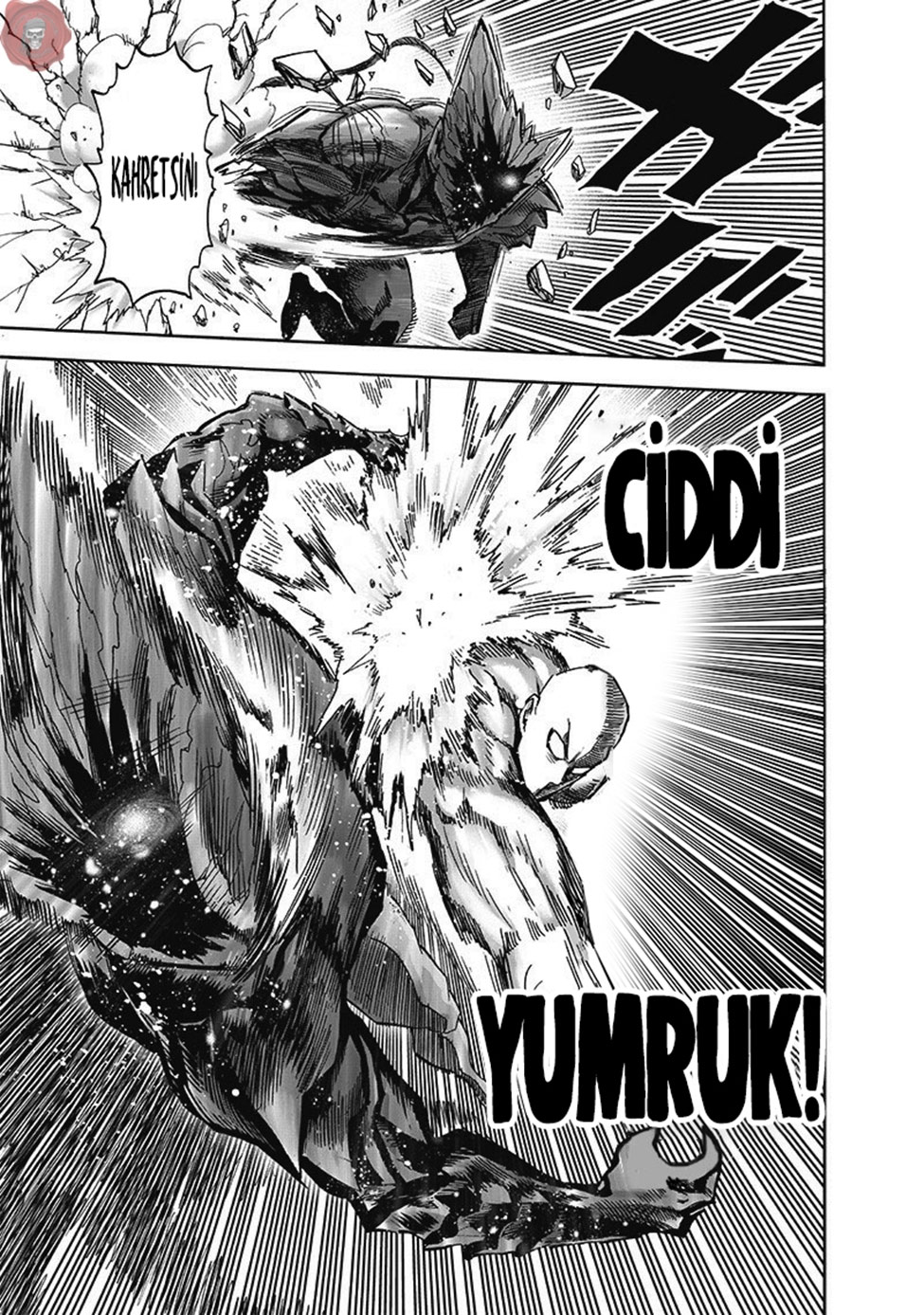 Read Tek Yumruk TR Manga Online