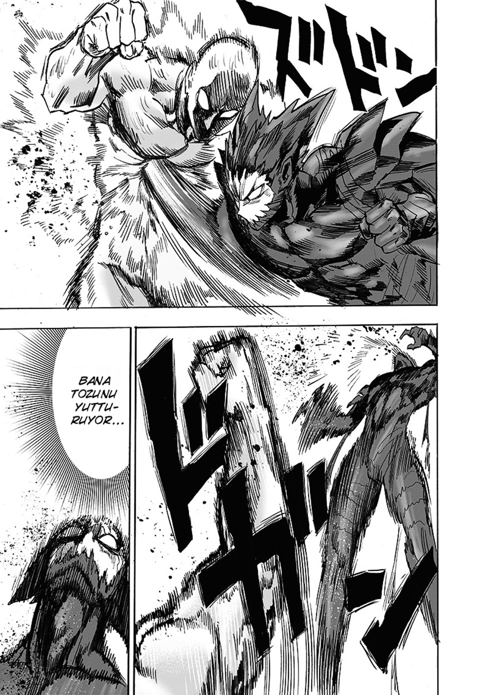 Read Tek Yumruk TR Manga Online