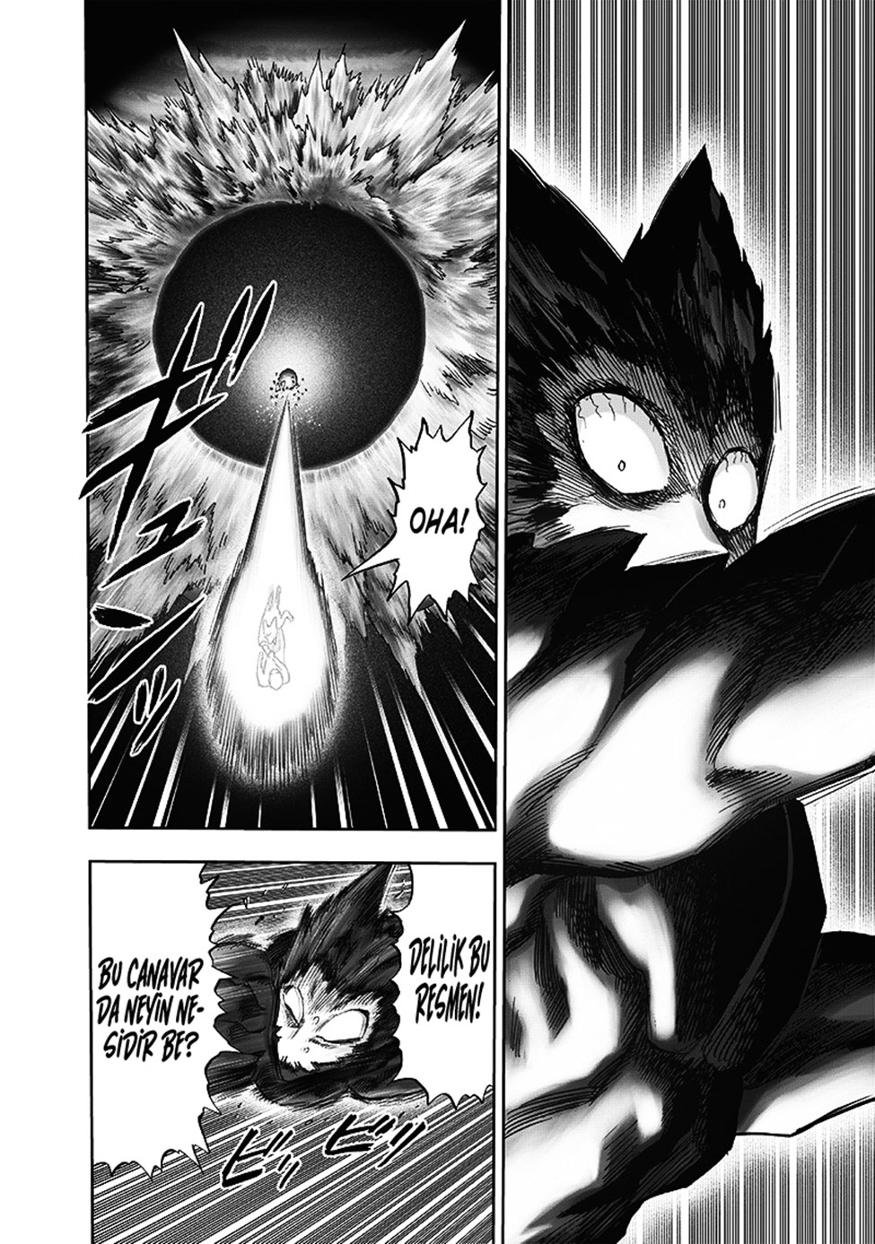 Read Tek Yumruk TR Manga Online