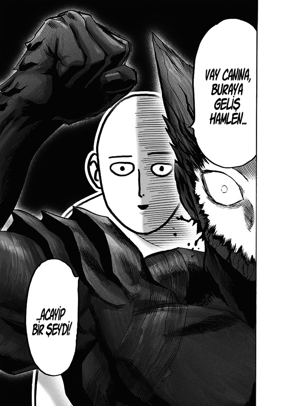 Read Tek Yumruk TR Manga Online