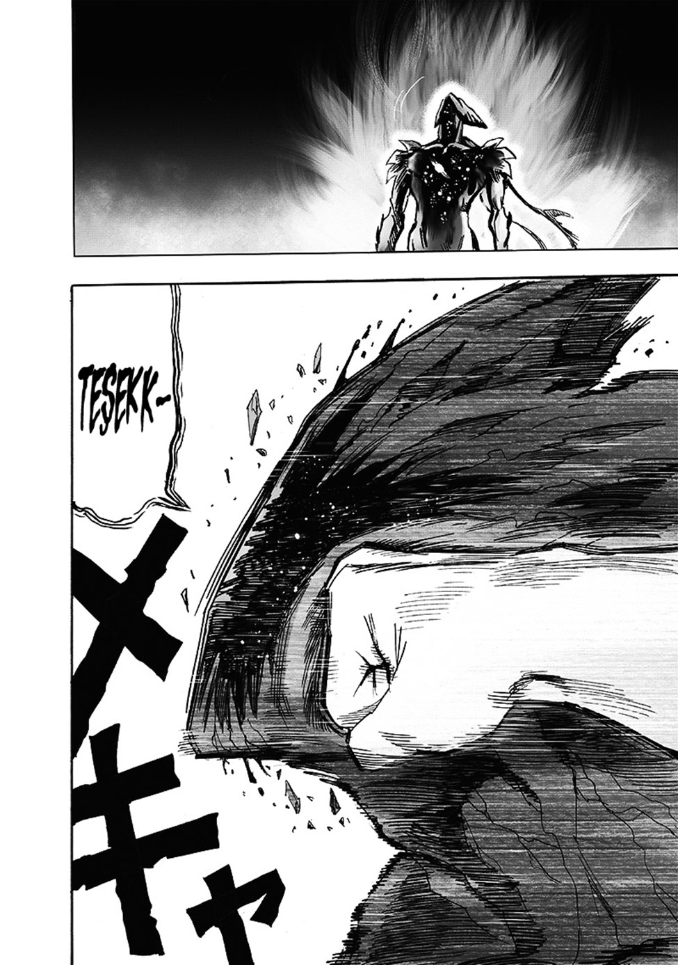 Read Tek Yumruk TR Manga Online