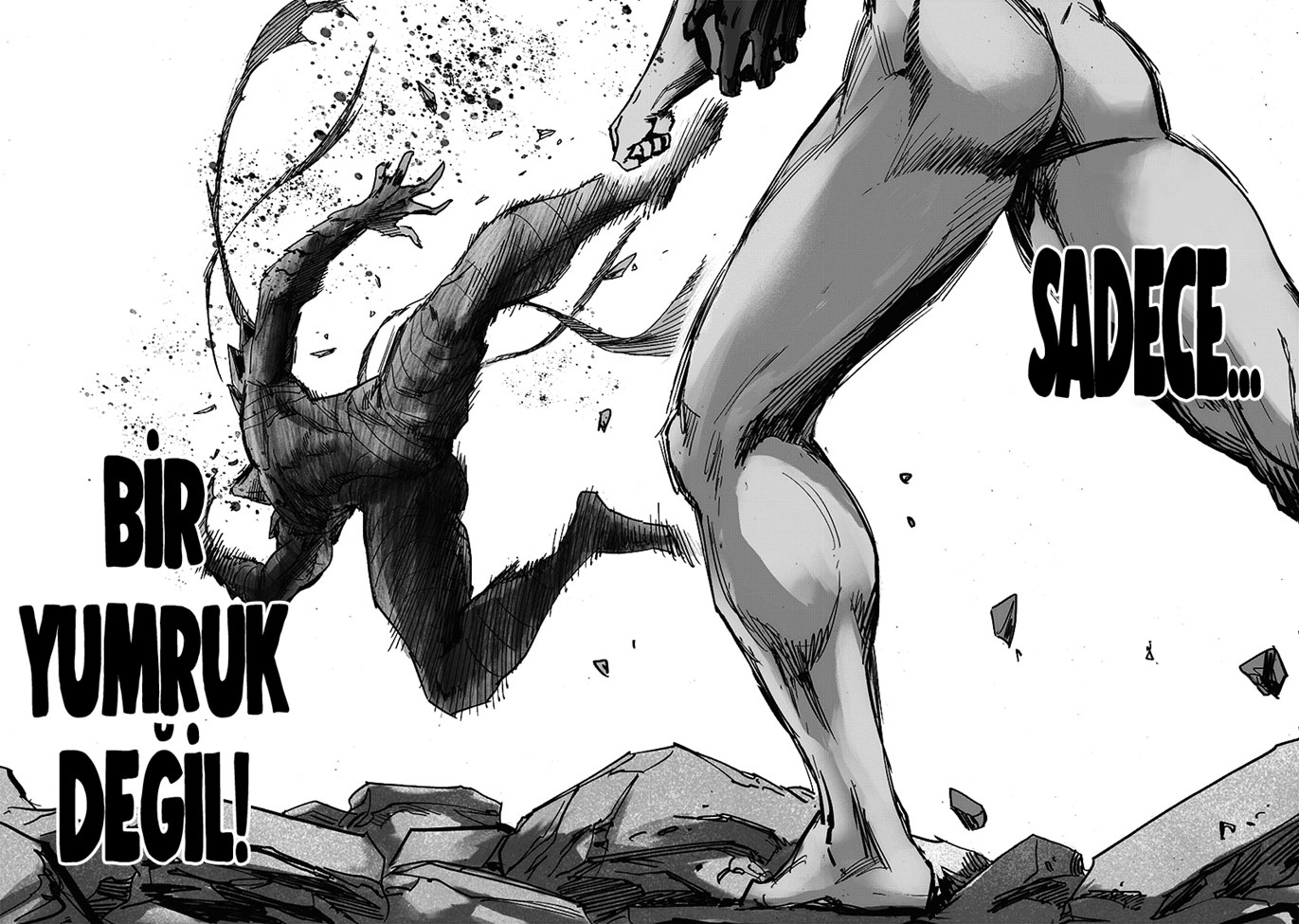 Read Tek Yumruk TR Manga Online