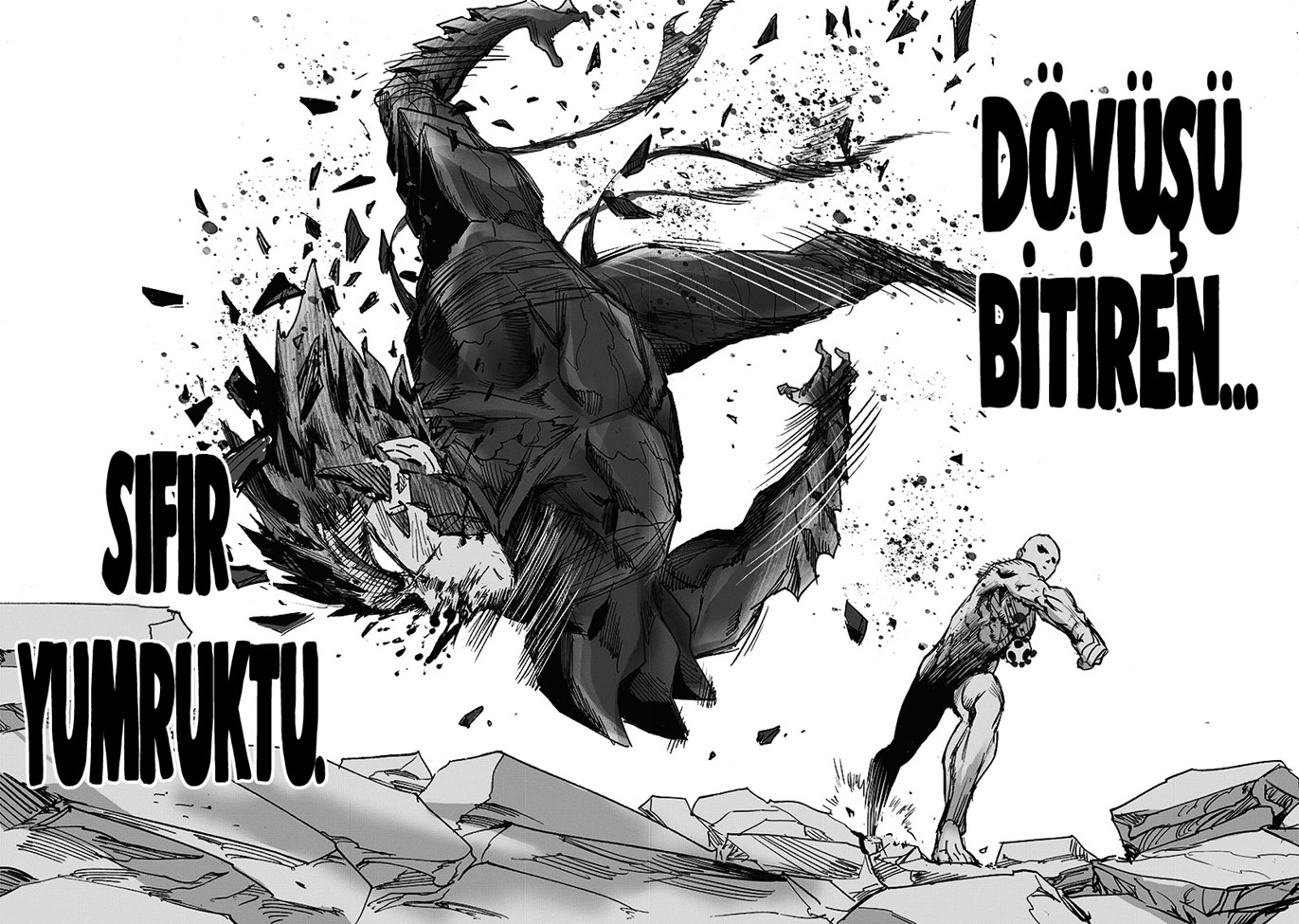 Read Tek Yumruk TR Manga Online