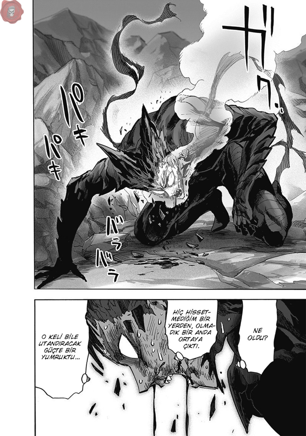 Read Tek Yumruk TR Manga Online