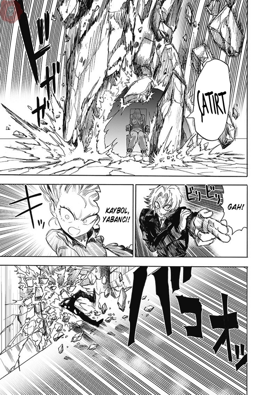 Read Tek Yumruk TR Manga Online