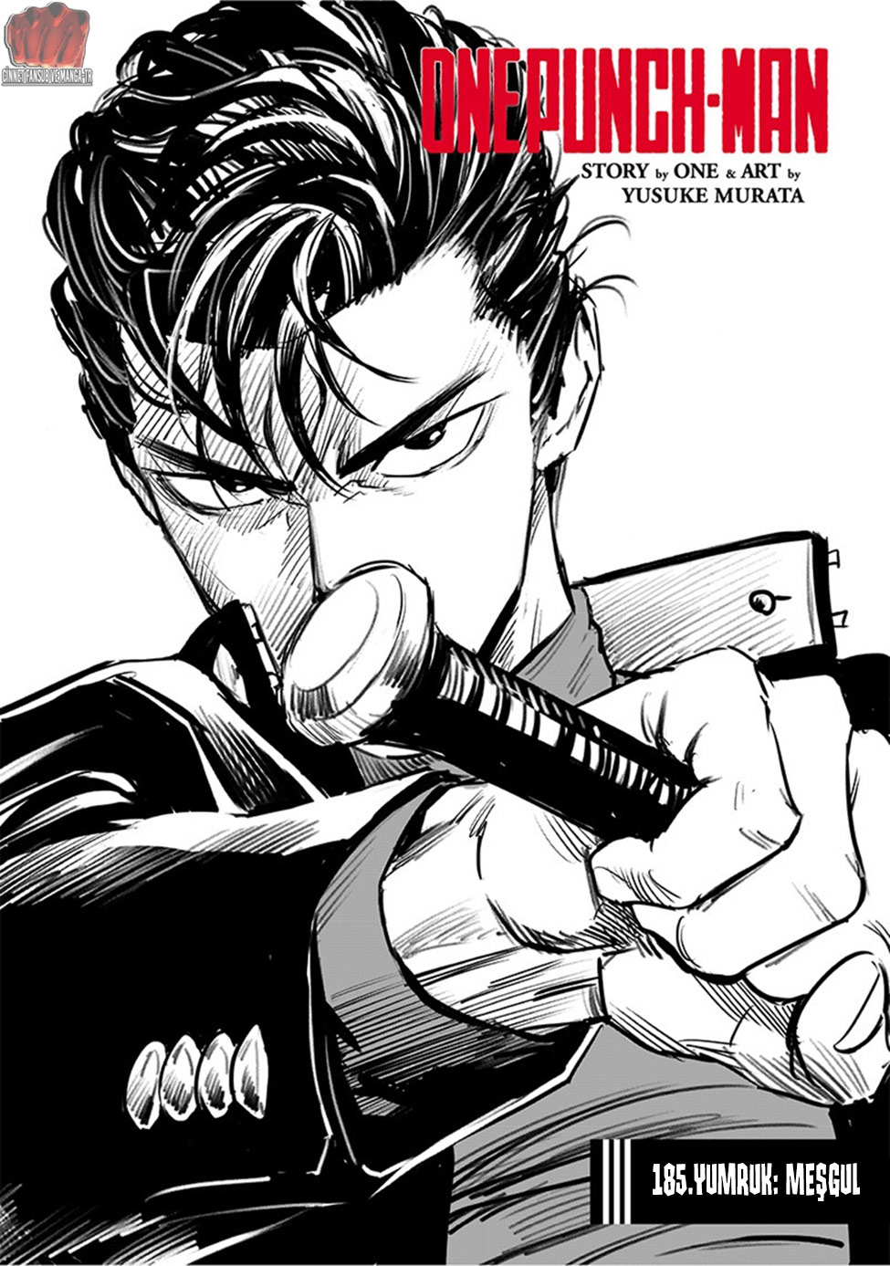 Read Tek Yumruk TR Manga Online