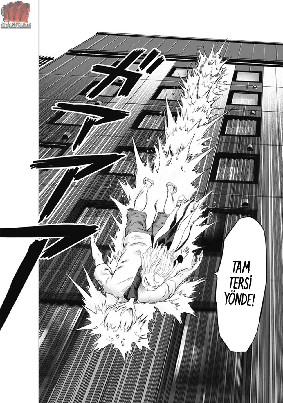 Read Tek Yumruk TR Manga Online
