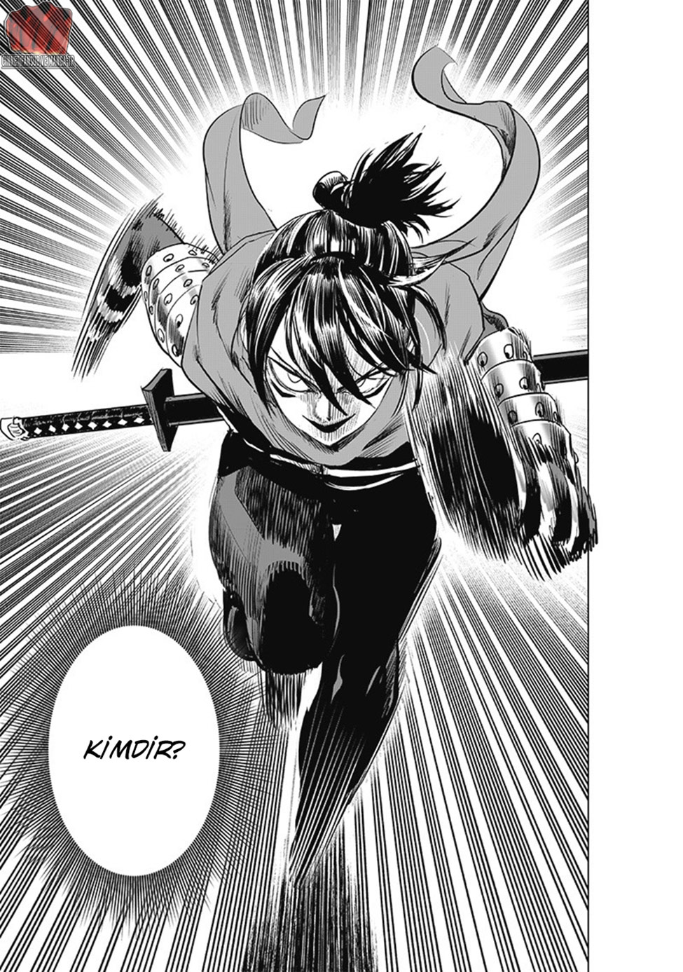 Read Tek Yumruk TR Manga Online