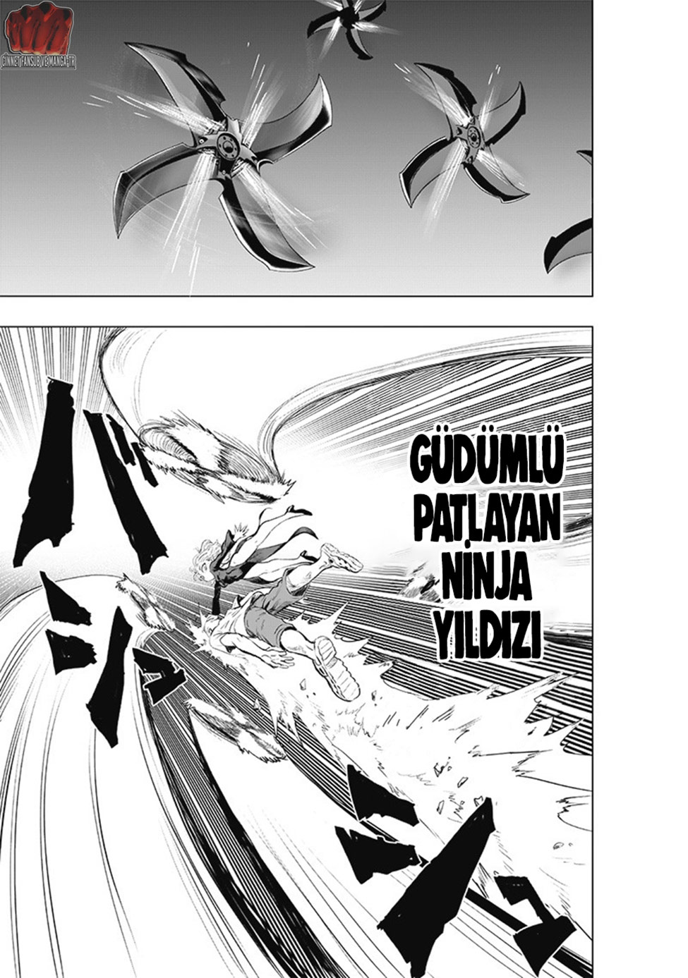 Read Tek Yumruk TR Manga Online