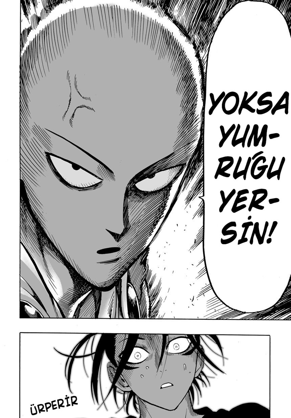 Read Tek Yumruk TR Manga Online