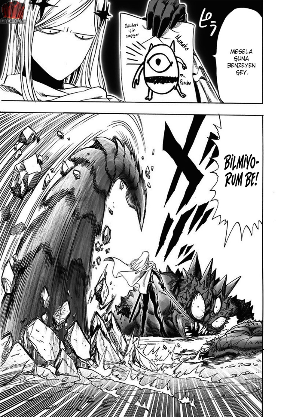 Read Tek Yumruk TR Manga Online