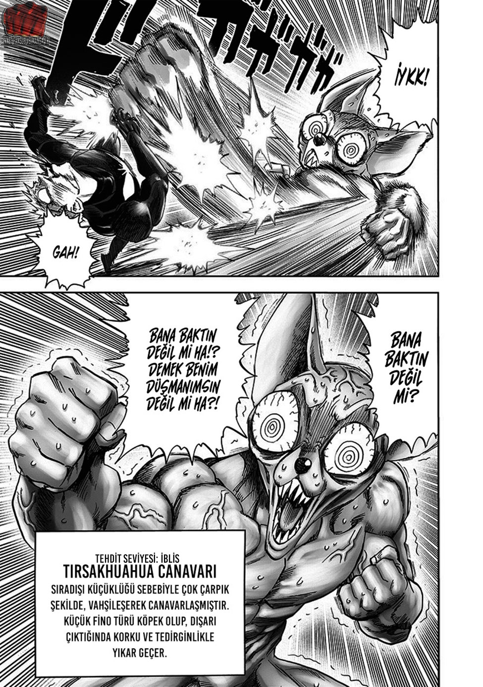 Read Tek Yumruk TR Manga Online