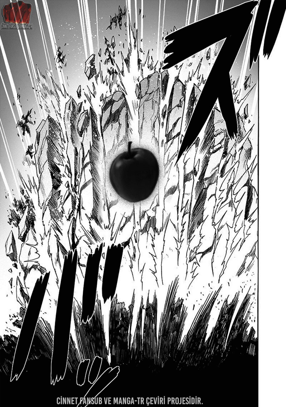 Read Tek Yumruk TR Manga Online