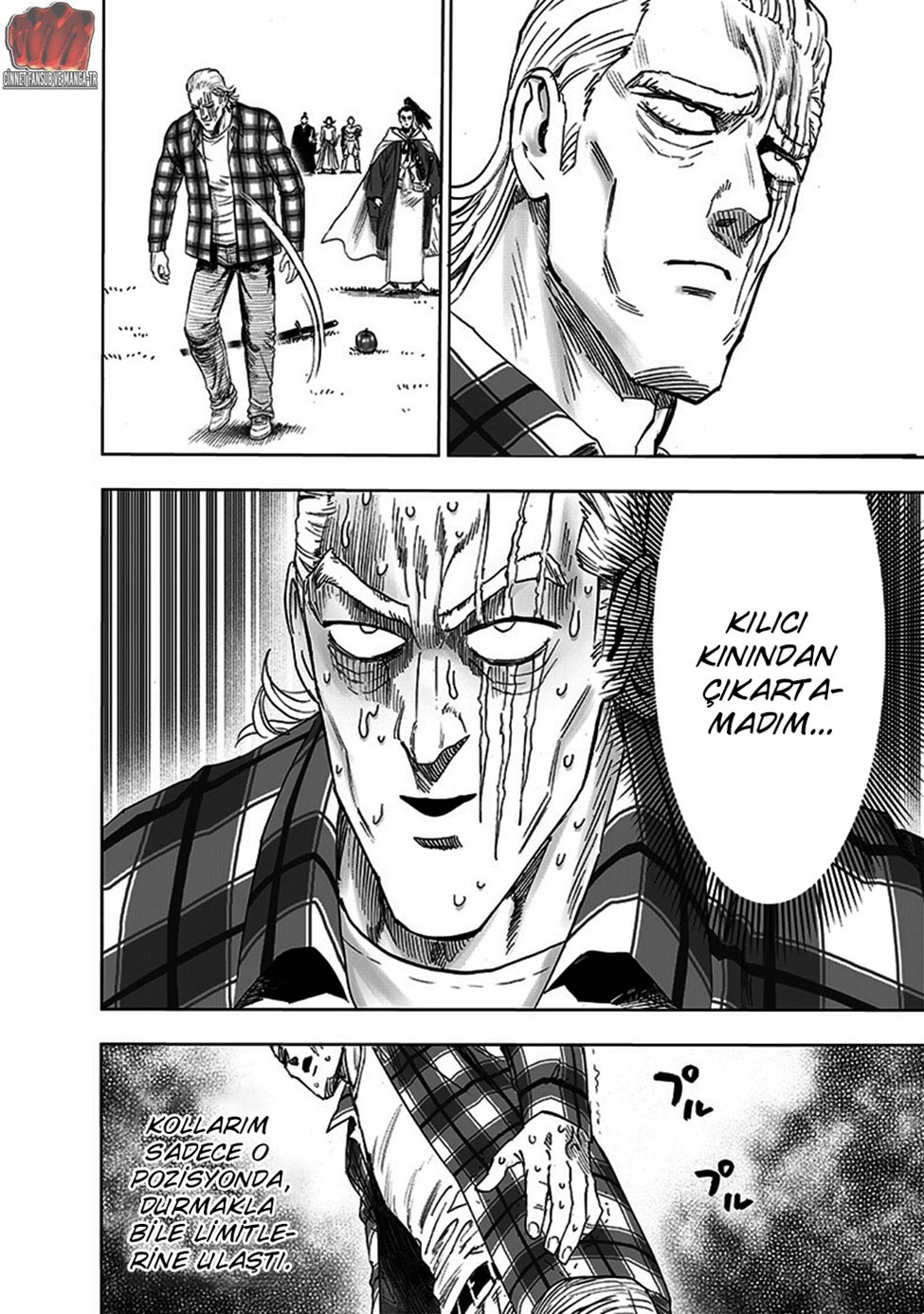 Read Tek Yumruk TR Manga Online