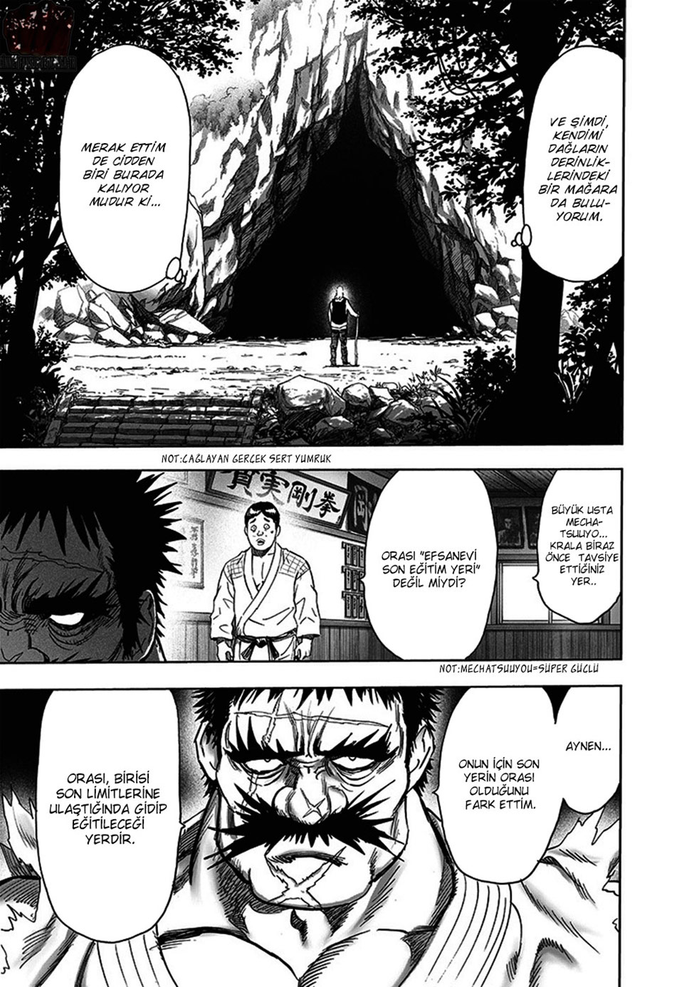 Read Tek Yumruk TR Manga Online