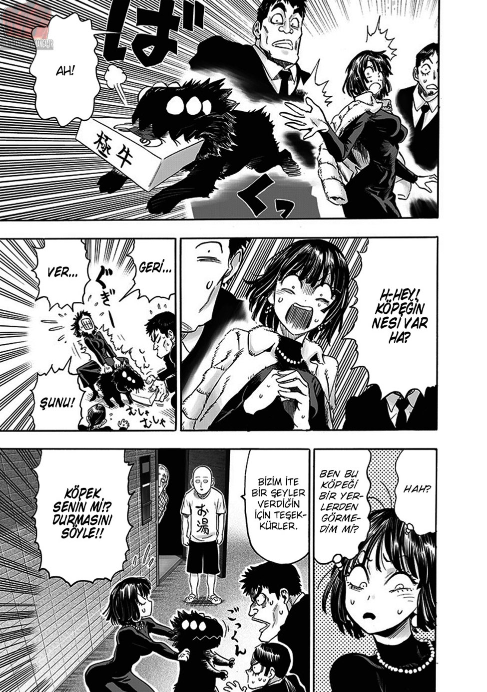 Read Tek Yumruk TR Manga Online