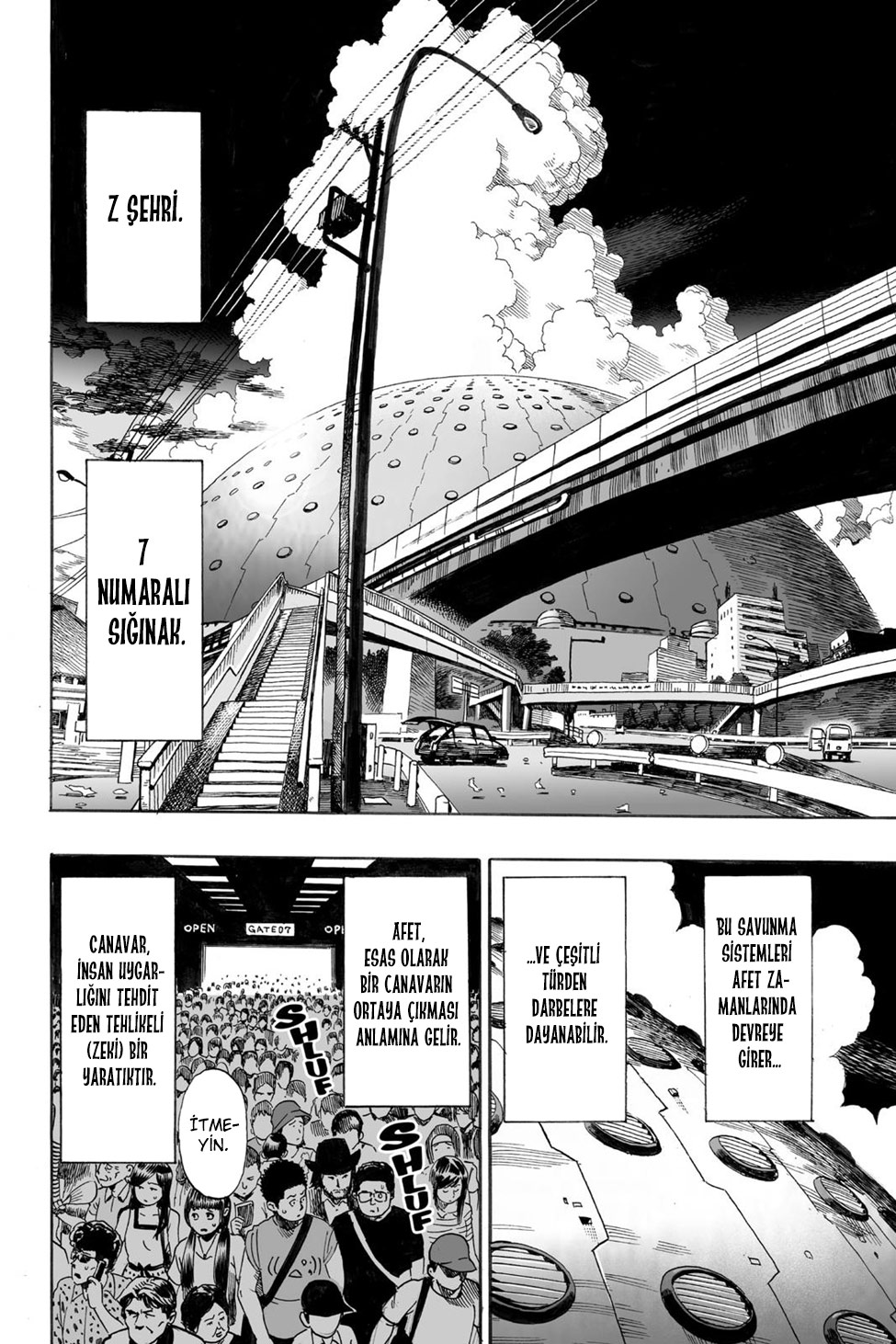 Read Tek Yumruk TR Manga Online