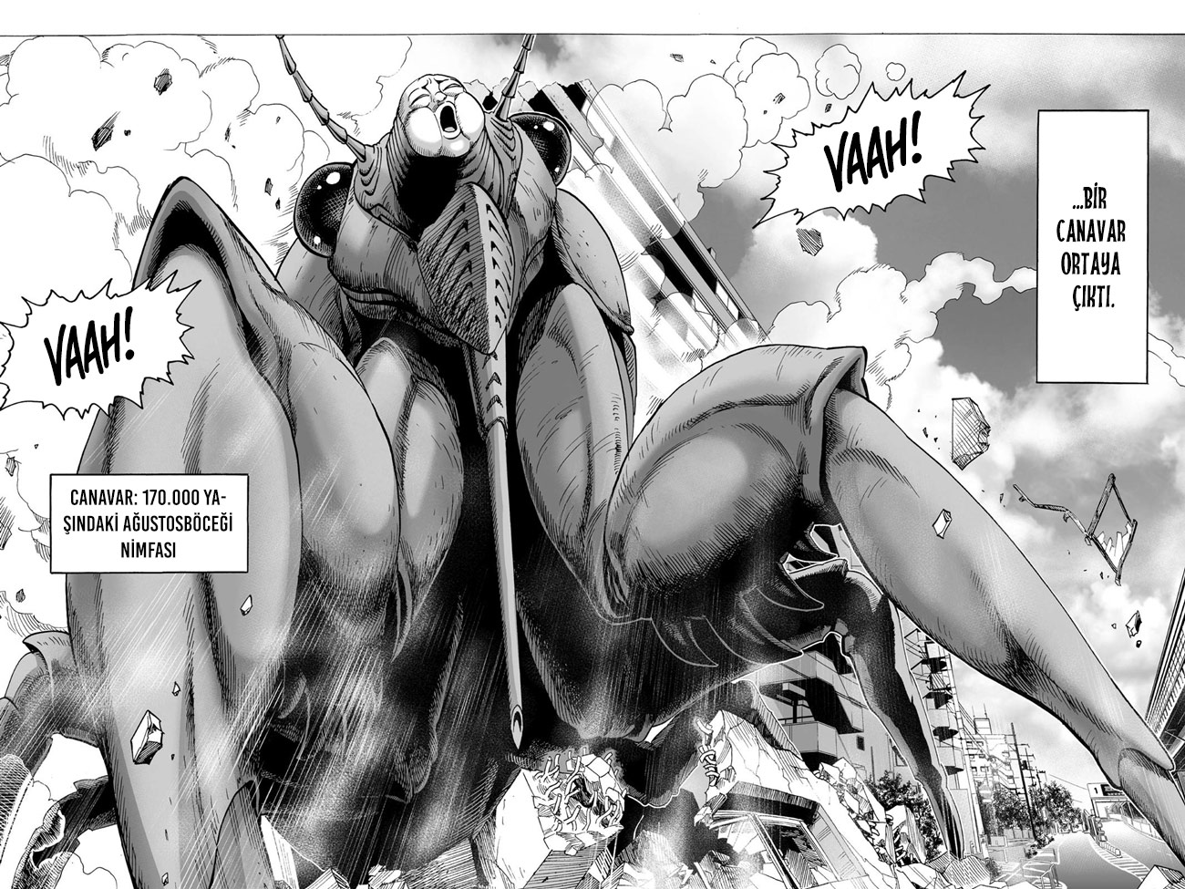Read Tek Yumruk TR Manga Online