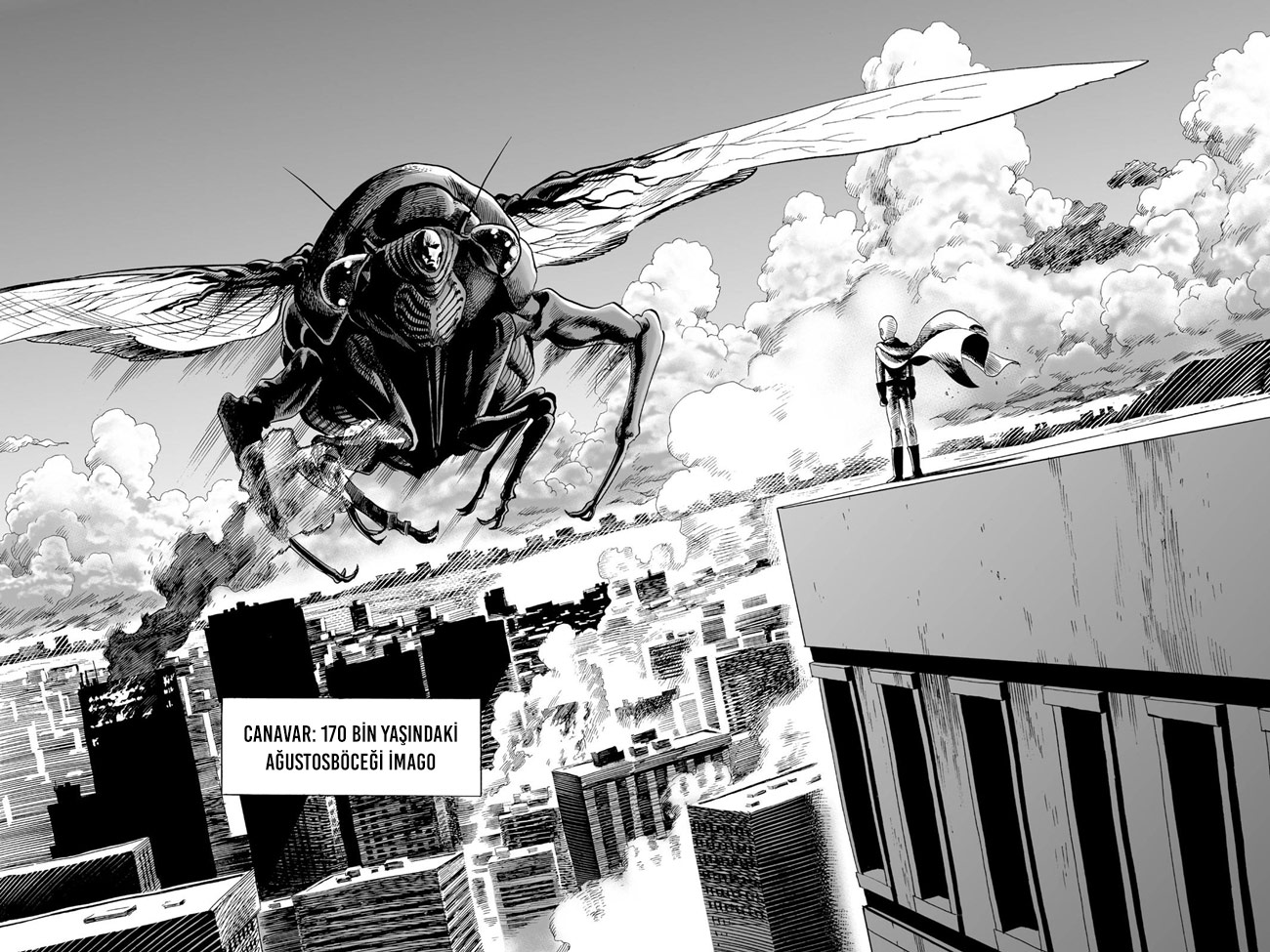Read Tek Yumruk TR Manga Online