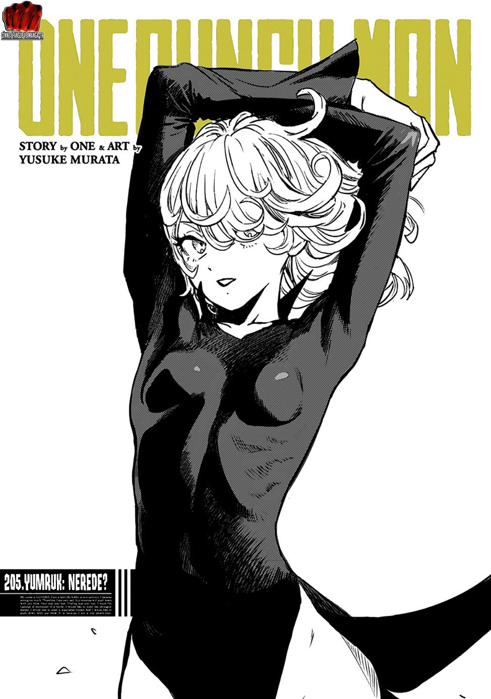 Read Tek Yumruk TR Manga Online