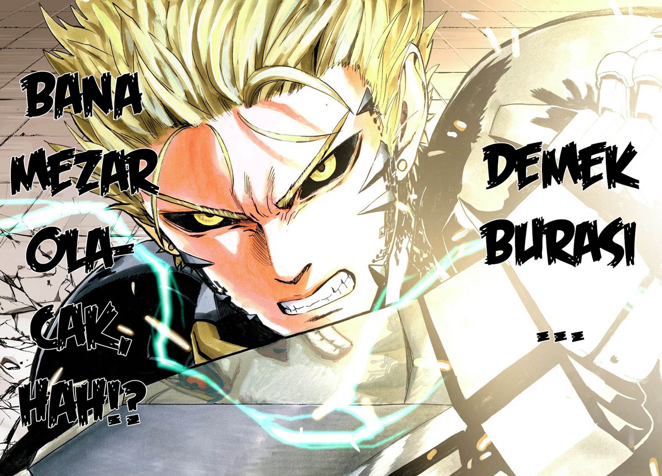 Read Tek Yumruk TR Manga Online